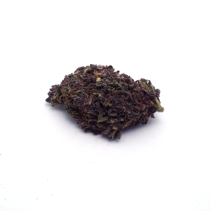 Purpple Puch