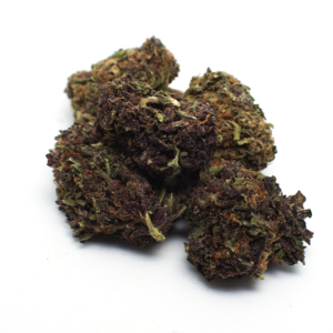 Purpple Puch