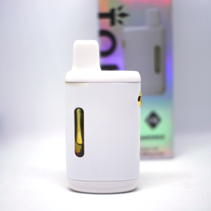 Torch - Image 3